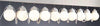 10 Glope 50' String Tent Lights