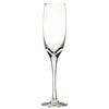 Fluted Champagne Glass