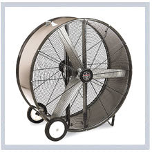 Fan 36