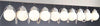 10 Glope 50' String Tent Lights