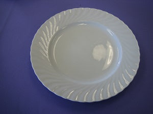 11 White China Dinner Plate